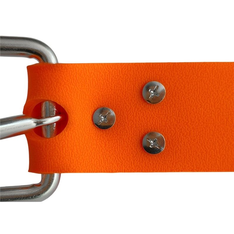 【Supernew】Gummigürtel für Frei – Dive Weight Belt Bewertung und Preis